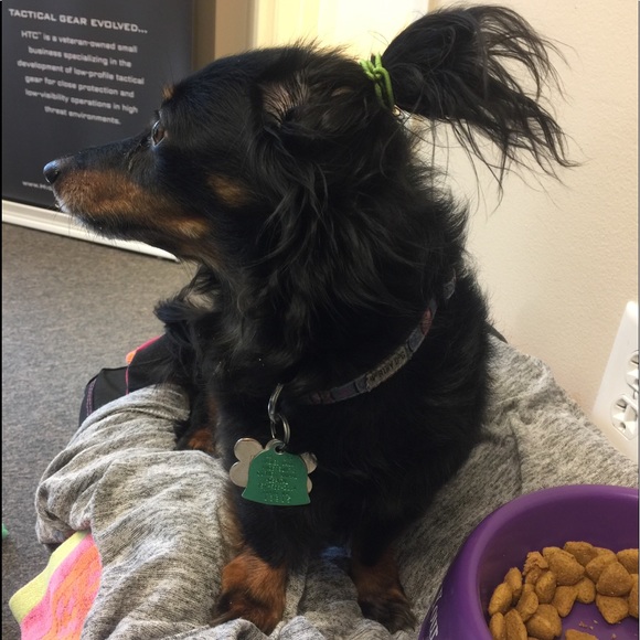 Meet your Posher, Tegin - Picture 8 of 8